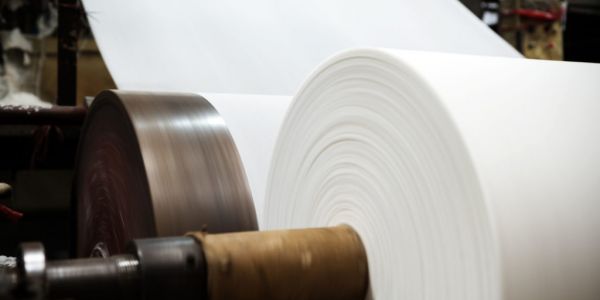 Outlook For Paper, Forest Products Market 'Remains Positive', Says Moody's