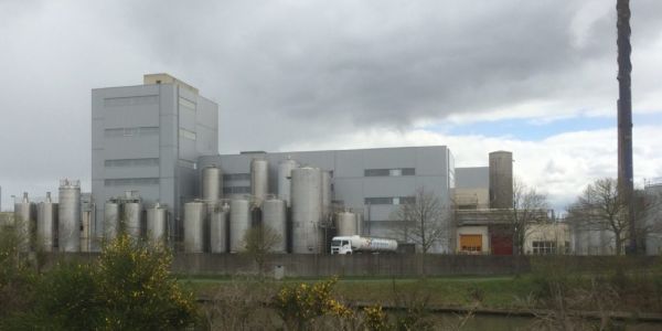 FrieslandCampina Completes Sale Of Milk Powder Facility In Belgium