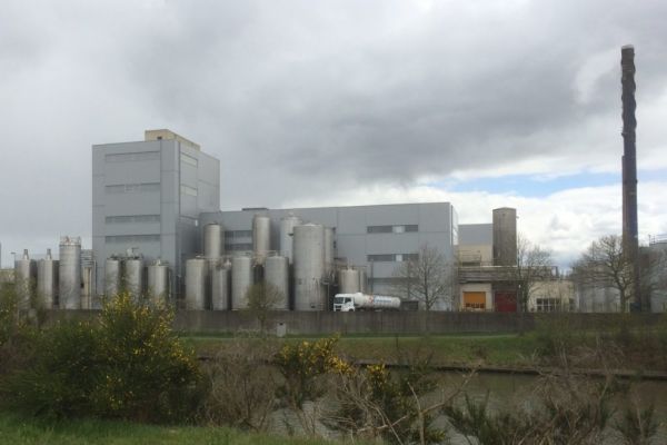 FrieslandCampina Completes Sale Of Milk Powder Facility In Belgium