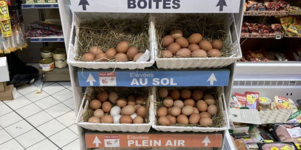 Carrefour Sells Loose Eggs To Reduce Food Waste