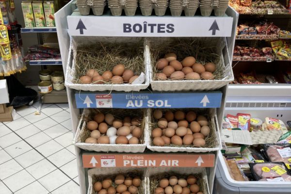Carrefour Sells Loose Eggs To Reduce Food Waste