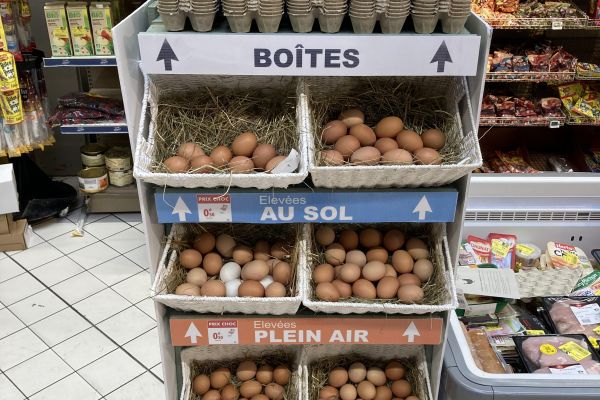 Carrefour Sells Loose Eggs To Reduce Food Waste