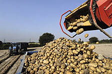 Waitrose Signs Up To Organic Potato Pledge