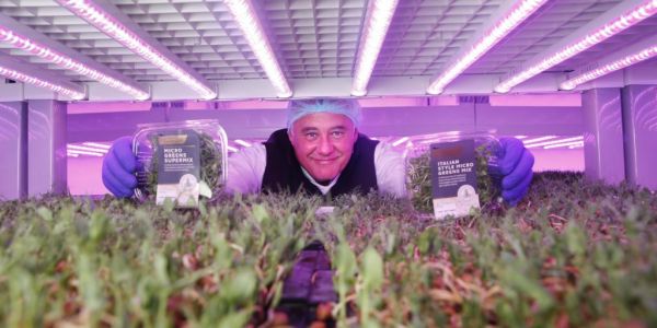 SuperValu Launches Hydroponically Grown Microgreen Mixes