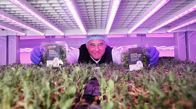 SuperValu Launches Hydroponically Grown Microgreen Mixes