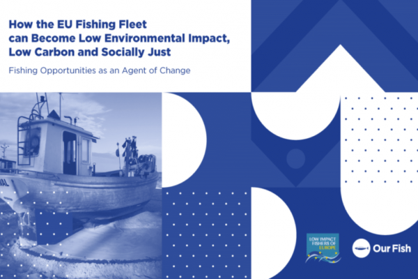Embracing Sustainable Fishing A Must To Guarantee Industry's Future Stability: Report