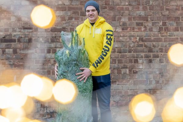 Yango Deli Offers Londoners Christmas Tree Delivery In 15 Minutes
