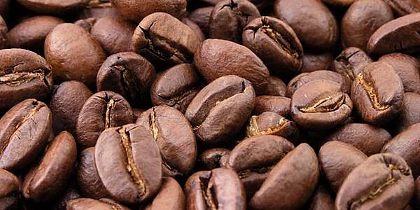 Experts Count Coffee Trees In Brazil As Prices Hit 10-Year Highs