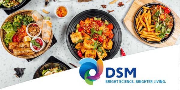 DSM Announces Sale Of Engineering Materials Business