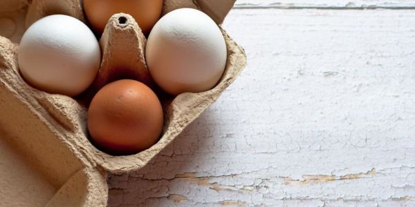Groupe Avril's French Egg Business Matines To Close