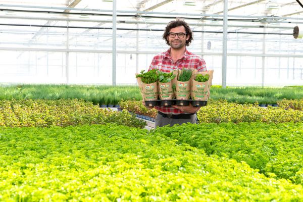 SPAR Austria Unveils Eco-Friendly Packaging For Potted Herbs