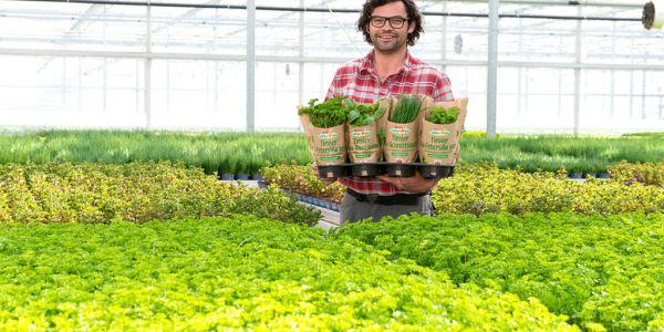 SPAR Austria Unveils Eco-Friendly Packaging For Potted Herbs