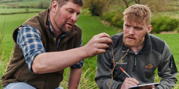 Morrisons Employs 'Tree Advisors' To Help UK Farmers Meet Planting Targets