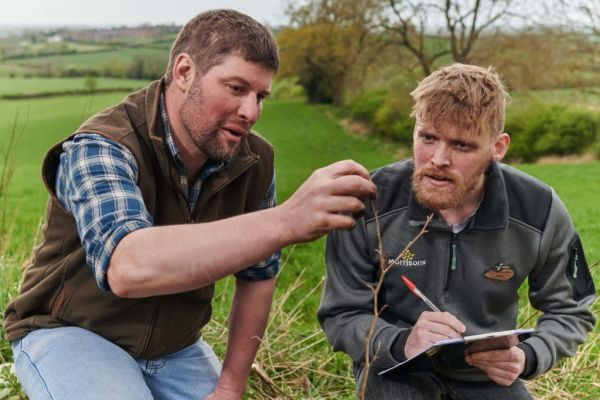 Morrisons Employs 'Tree Advisors' To Help UK Farmers Meet Planting Targets