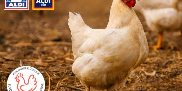 Aldi Launches Chicken Products That Meet Animal Welfare Requirements