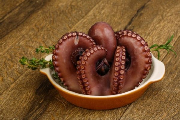 World's First Octopus Farm Stirs Ethical Debate