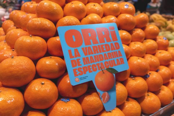 Orri Mandarin: Unbeatable For Yet Another Year
