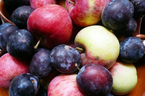 Germany’s 2021 Apple Harvest Remains Stable, Plum Output Declines