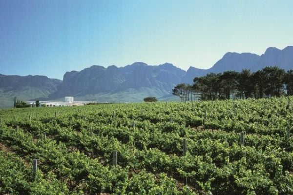 UK's The Co-Op Now Sourcing 100% Fairtrade South African Wine