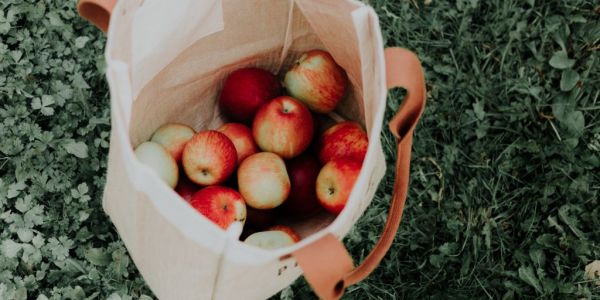 Analysis: Why Do Customers Enjoy Using Reusable Shopping Bags?