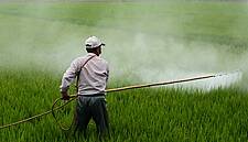 How Pesticide Fears Can Make Americans Less Healthy