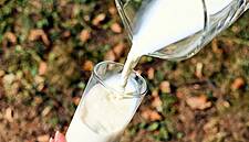 FrieslandCampina To Boost Production Of VLOG Milk