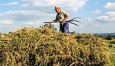 Co-op Launch Search For UK's Best Small Producers
