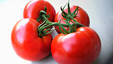 Casalasco Del Pomodoro Acquires Tomato Brand De Rica
