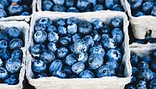 EuroCommerce Calls For Regulations To Boost Organic Sector