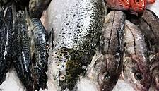 Carrefour Polska Expands Its Range Of MSC Certified Fish