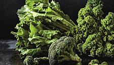 Jumbo Promotes Dutch Seasonal Greens With Free Recipes