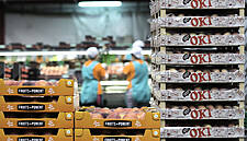 Fruits de Ponent Celebrates 25th Anniversary At Fruit Logistica