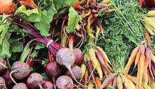 Aldi Süd Pilots Isotope Analysis For Regional Produce