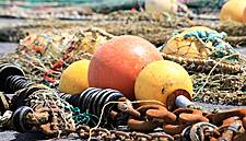 Les Mousquetaires Develops Aquaculture Cooperative