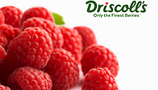 Driscoll's Raises The Quality Level Of The Winter Raspberry