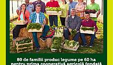 Carrefour Romania Launches Agricultural Cooperative