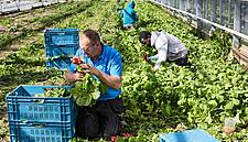Colruyt Seeks To Improve Working Conditions For Suppliers