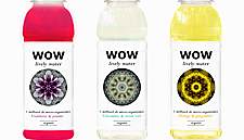 Wow Lively Water Enters French Market
