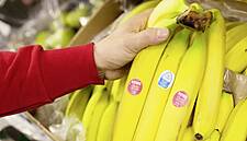 Rewe Sells Unpackaged Bananas To Cut Down On Plastic Waste
