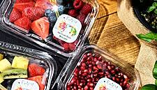 Italy’s Sirap Acquires Food Packaging Companies In UK, Spain
