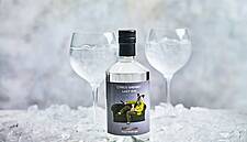 Waitrose's Heston Blumenthal Gin Sells Out