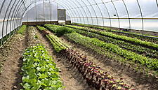 Waitrose Invests In Food Security Research