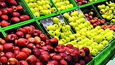 Total Produce Increases Full-Year Earnings Target