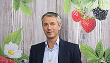 Driscoll's: Winning The Hearts Of European Berry Consumers