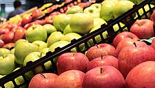 Almost Half Of Portuguese Shoppers Buy Organic