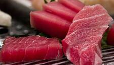 Spanish Oceanographers Make Red Tuna Breakthrough
