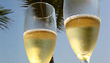 Freixenet Resumes Talks Over Henkell Offer
