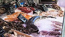Carrefour Belgium Stops Selling Pangasius Fish