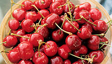 The Pits: How China's US Tariff Jab Choked A Cherry Import Boom