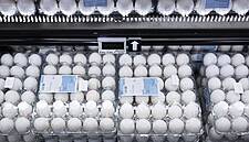 Dansk Supermarked Group To Phase Out Battery Eggs